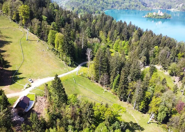 Bled Straza House